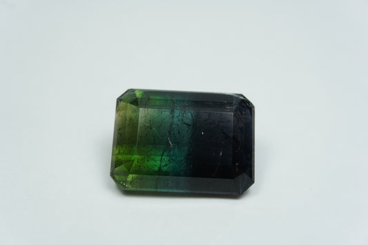16.60ct Turmalina Bicolor 13x18mm
