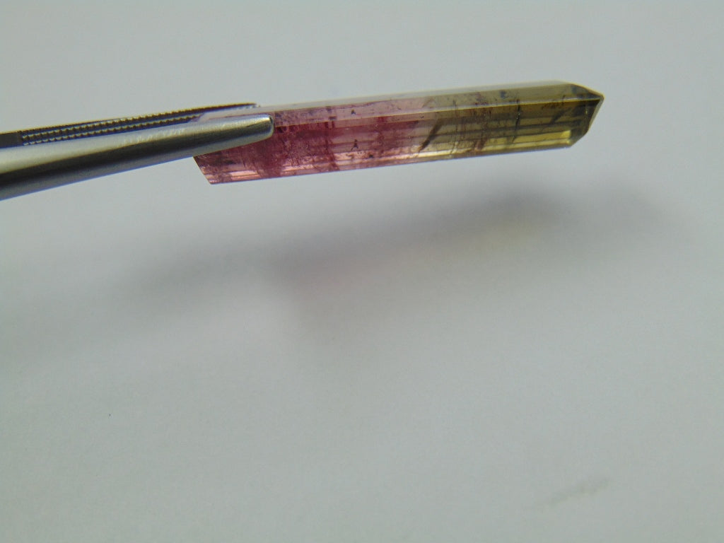 12.48ct Tourmaline Bicolor 30x8mm