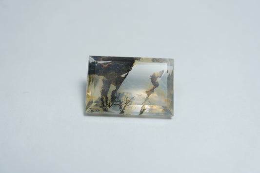 8.65ct Dendrita 16x11mm