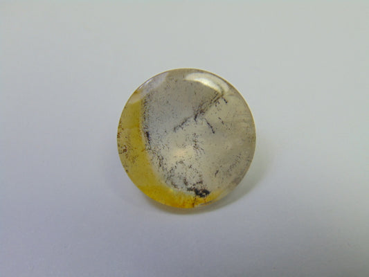 21.90ct Dendrite 20mm