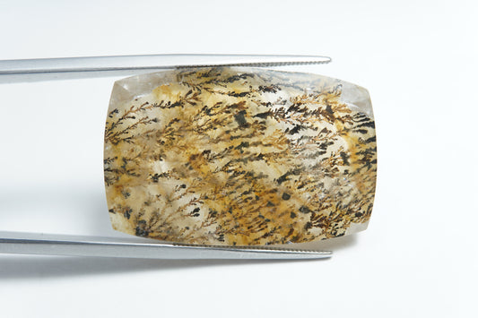 44.95ct Dendrita 32x21mm