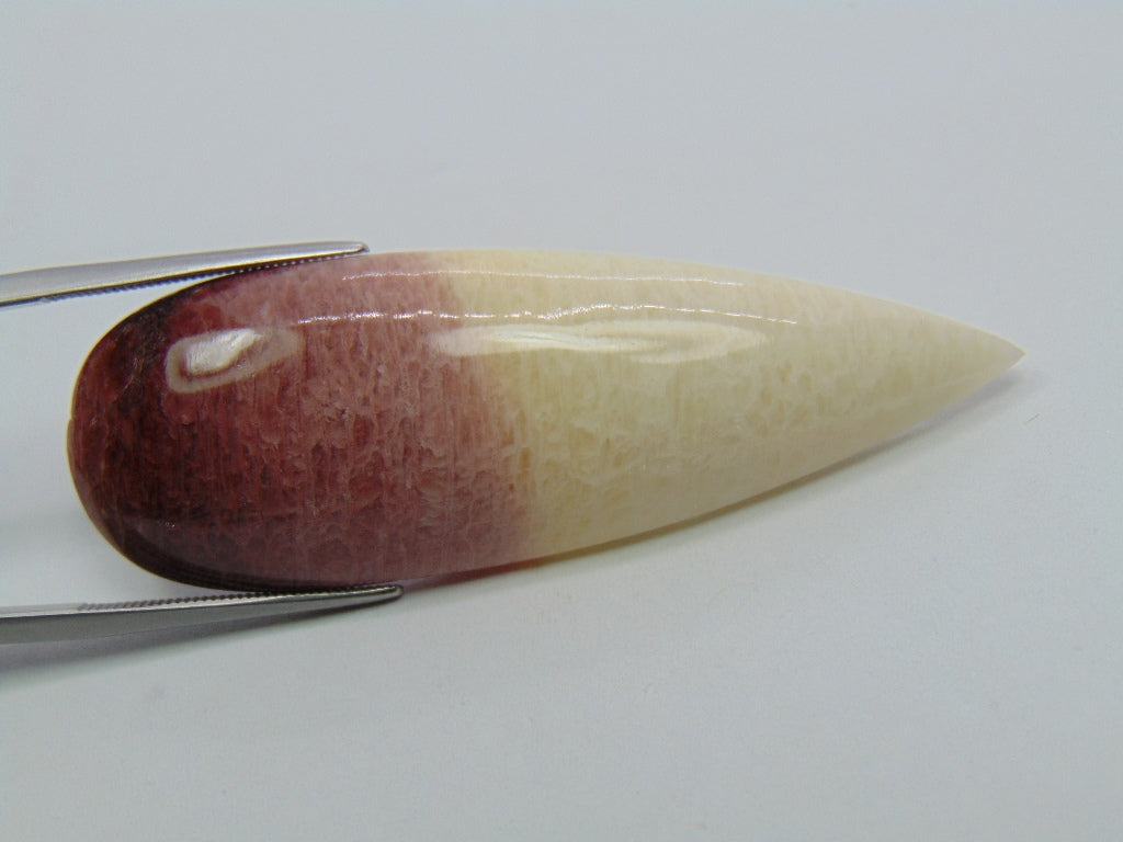 47.30ct Amazonite Bicolor 55x18mm