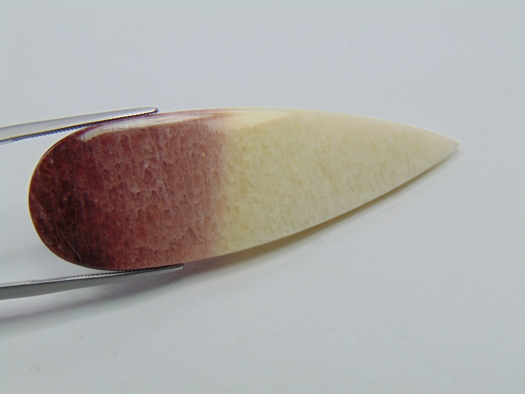 47.30ct Amazonite Bicolor 55x18mm