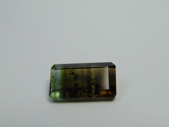 15,05ct Turmalina Bicolor 18x11mm