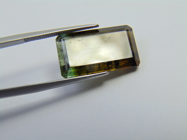 15,05ct Turmalina Bicolor 18x11mm