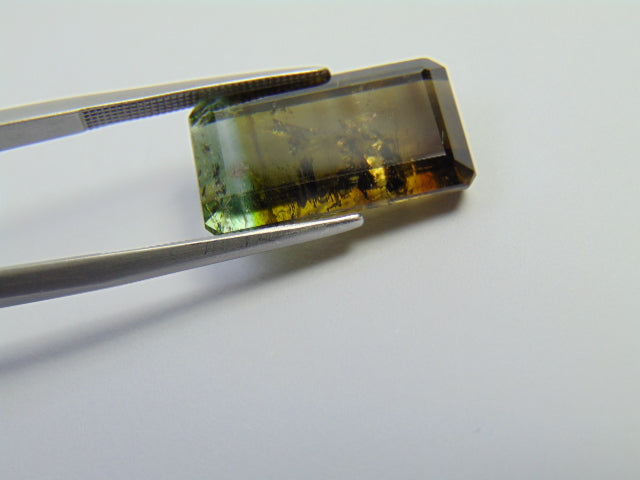 15,05ct Turmalina Bicolor 18x11mm