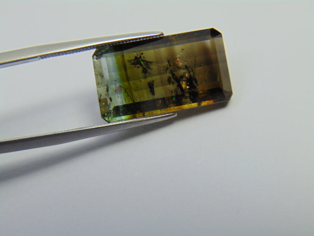 15,05ct Turmalina Bicolor 18x11mm