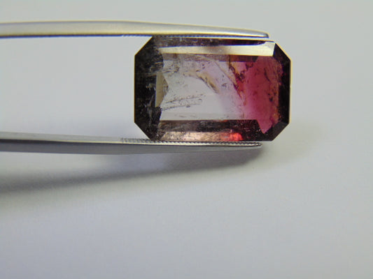 15.40ct Turmalina Bicolor 20x13mm