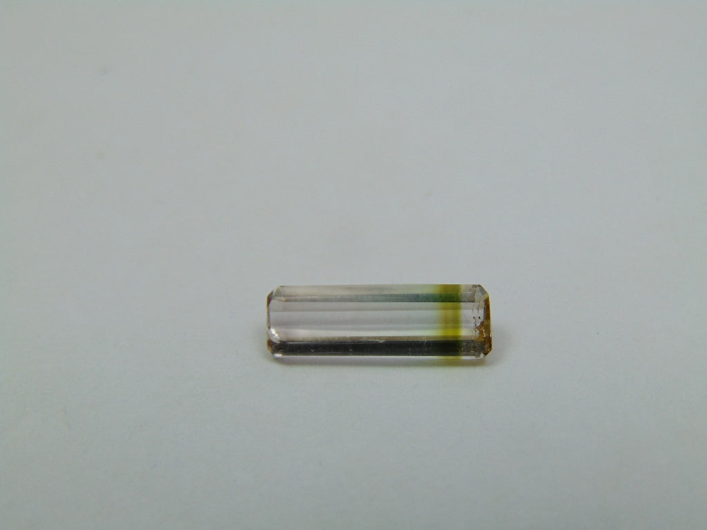 Turmalina Bicolor 1,90ct 13x4mm