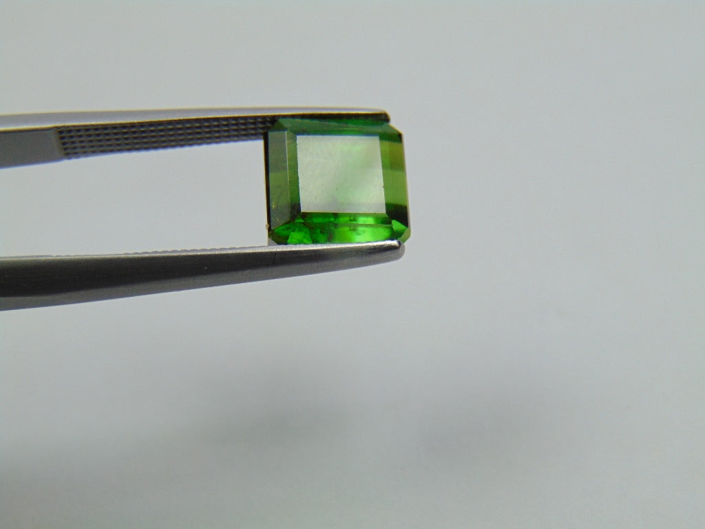 Turmalina Bicolor 3,60 ct 7mm