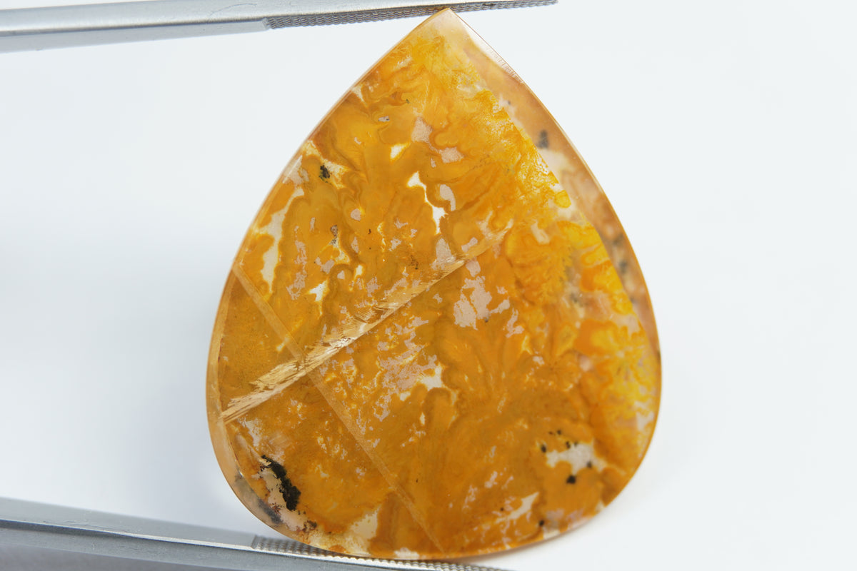 51,70 ct Dendrita 35x30mm
