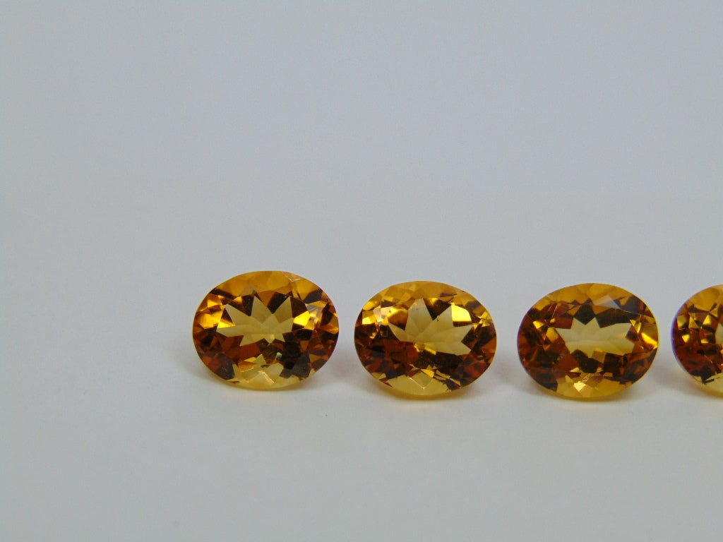 Citrino 9,85 ct Calibrado 10x8mm