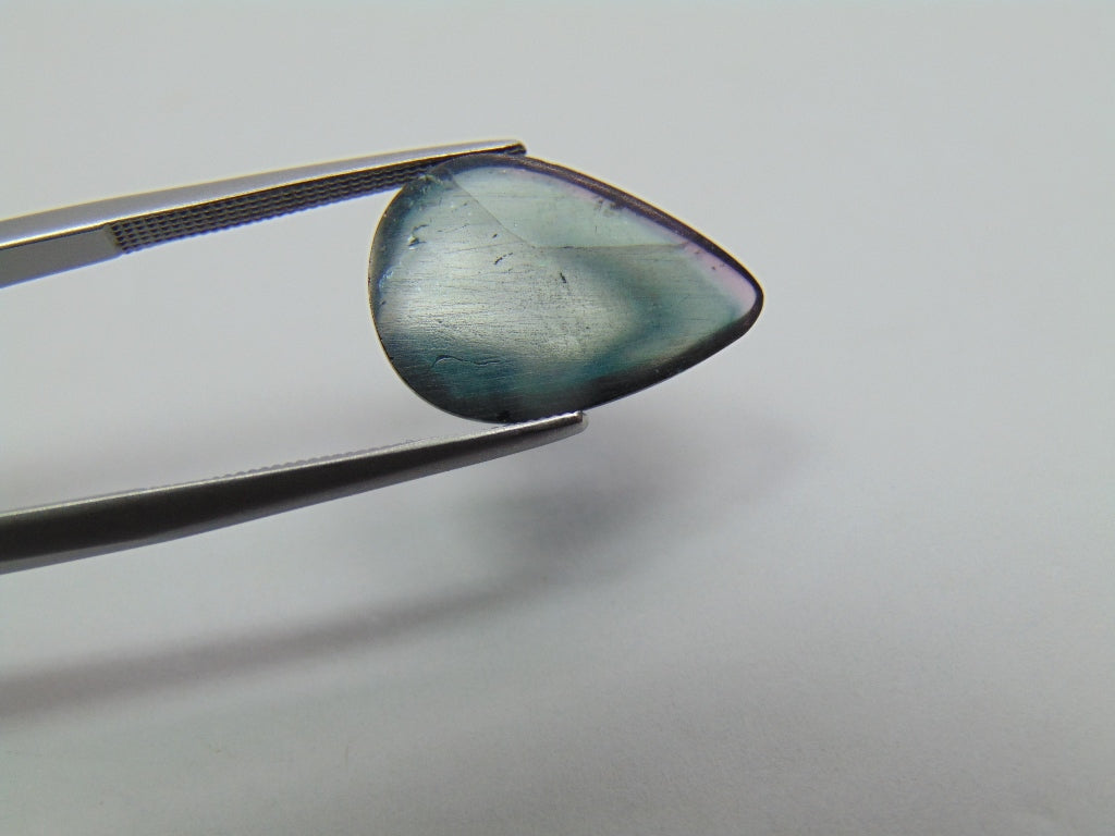 5.20ct Turmalina Bicolor 17x12mm