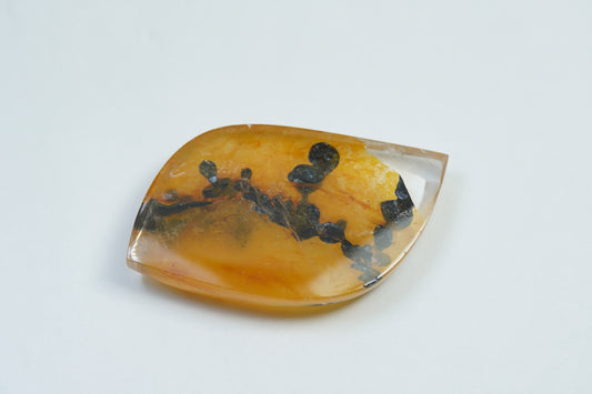 60.65ct Dendrita 44x24mm