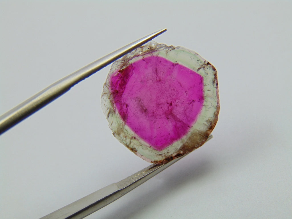 11,55ct Turmalina Melancia 18mm