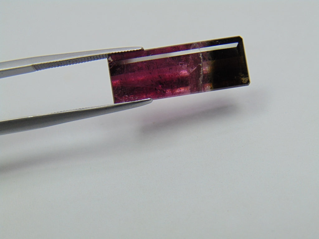 9.75ct Tourmaline Bicolor 22x8mm