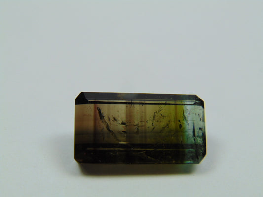 15.10ct Turmalina Bicolor 20x11mm