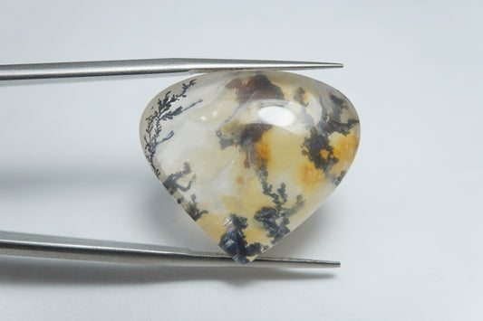 31.15ct Dendrita 24x21mm