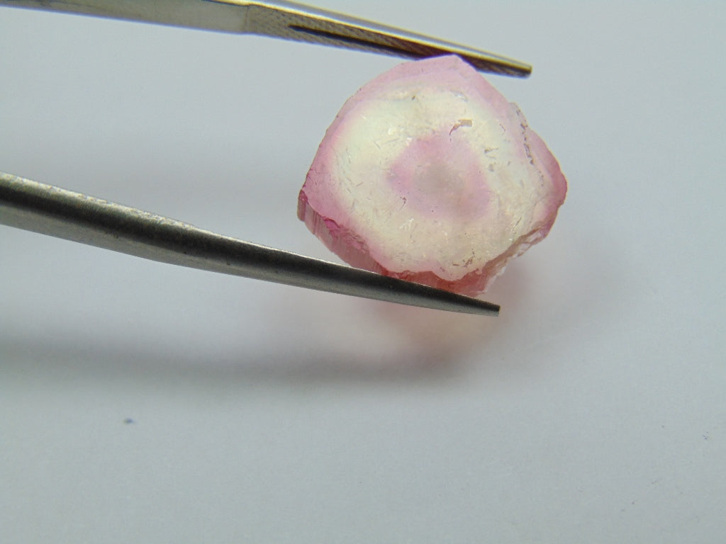 8.20ct Turmalina Melancia 15x14mm