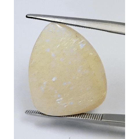 11.75ct Noble Opal Cabochon 22x8mm