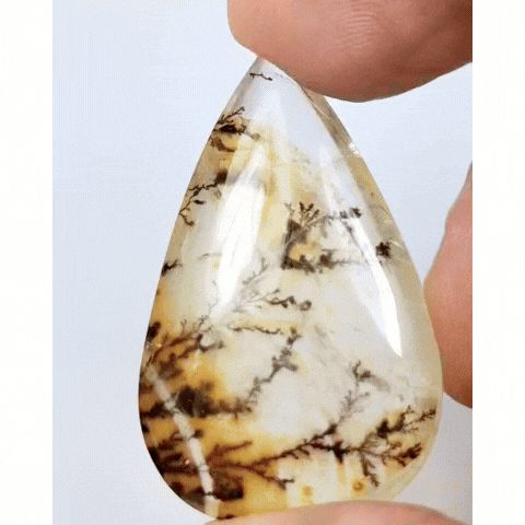 52.25ct Dendrita 41x26mm