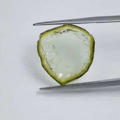 8.65ct Watermelon Tourmaline 18x17mm