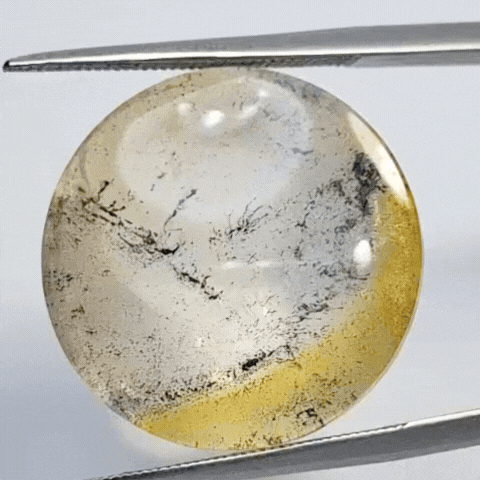 21.90ct Dendrita 20mm