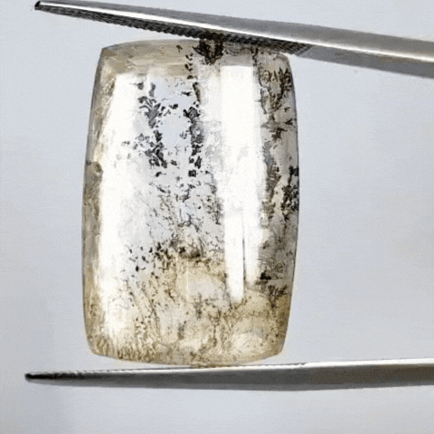 19.95ct Dendrita 22x15mm