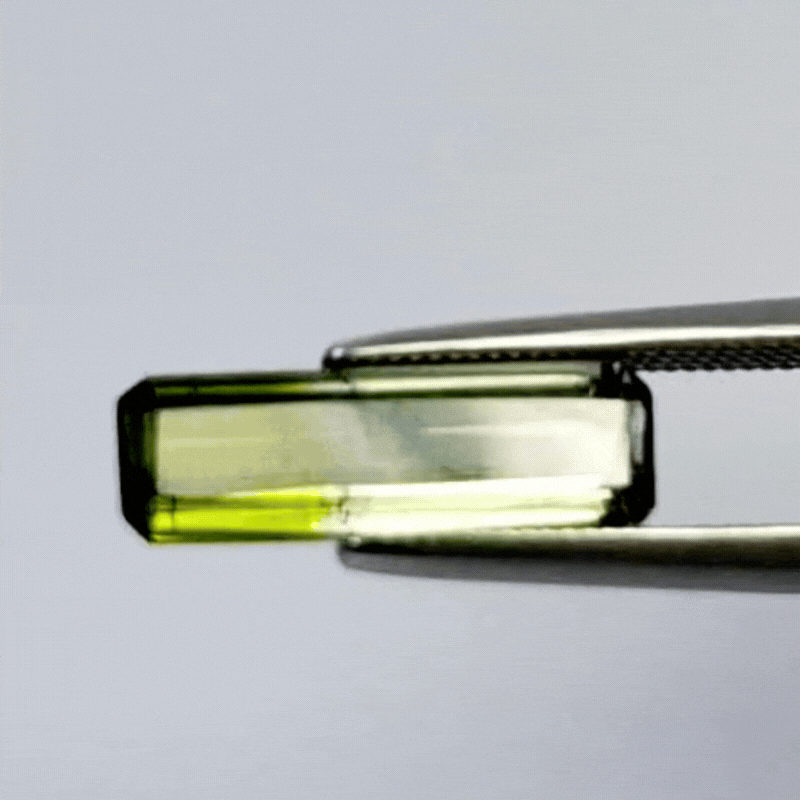 3.20ct Turmalina Bicolor 14x4.5mm 14x4mm