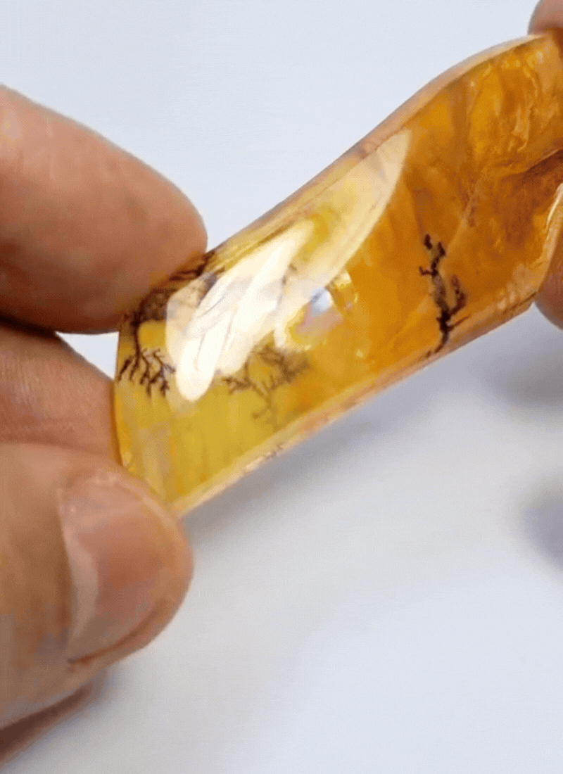 98.50ct Dendrita 65x23mm