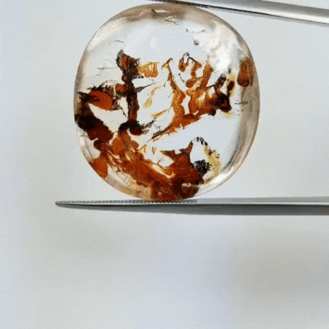 26.70ct Dendrite 26x24mm