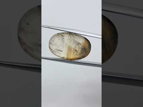15.15ct Dendrita 21x14mm