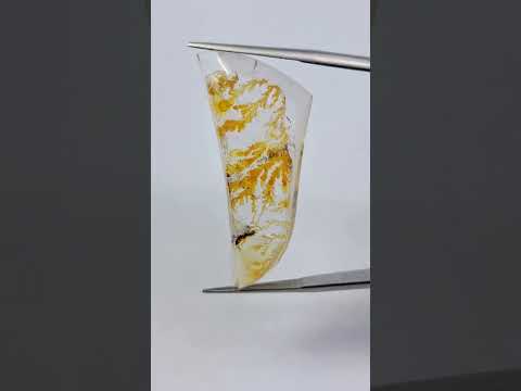 Dendrita 26,68 ct 39x17 mm