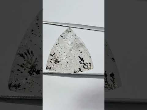 36.90ct Dendrita 20mm