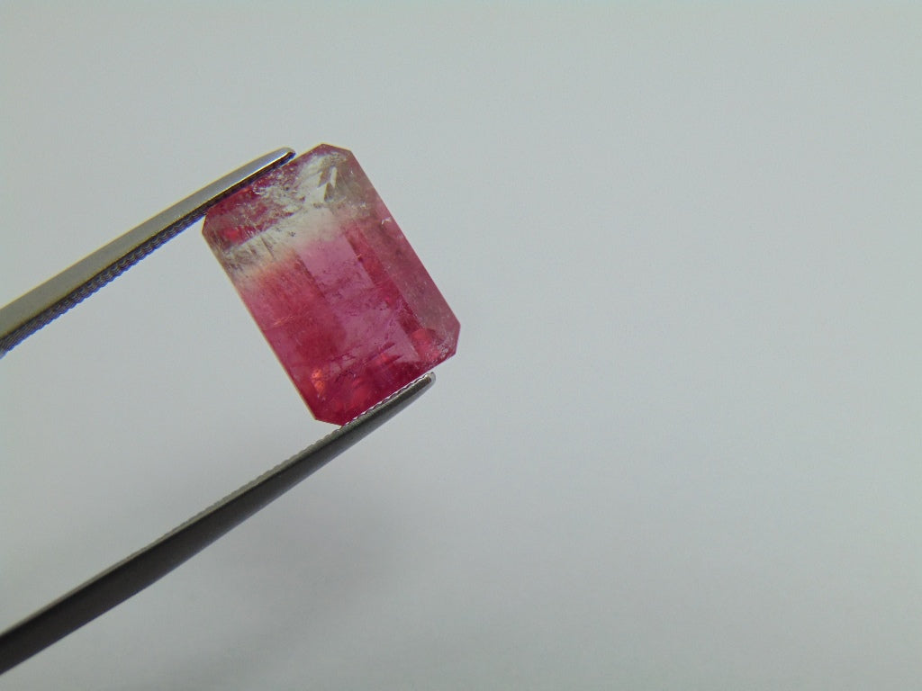 7.43ct Turmalina Bicolor 13x9mm