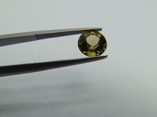 Turmalina 1,66 ct 7x5mm