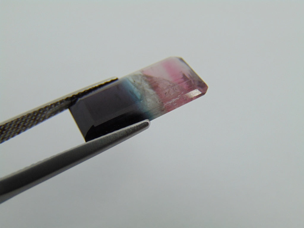7,40cts Turmalina (Bicolor)