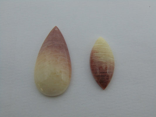 29,90 cts Amazonita (Bicolor)