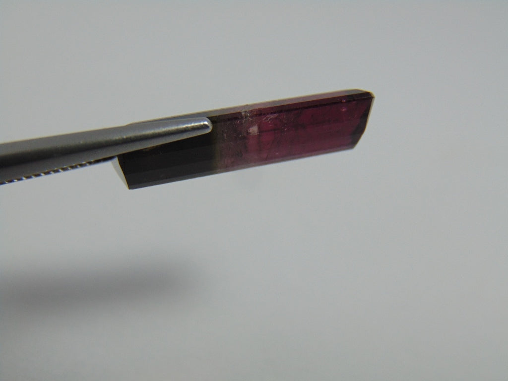 11,80cts Turmalina (Bicolor)