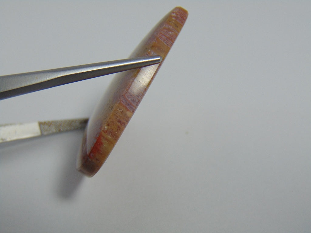 55.20cts Petoskey Stone 37x35mm