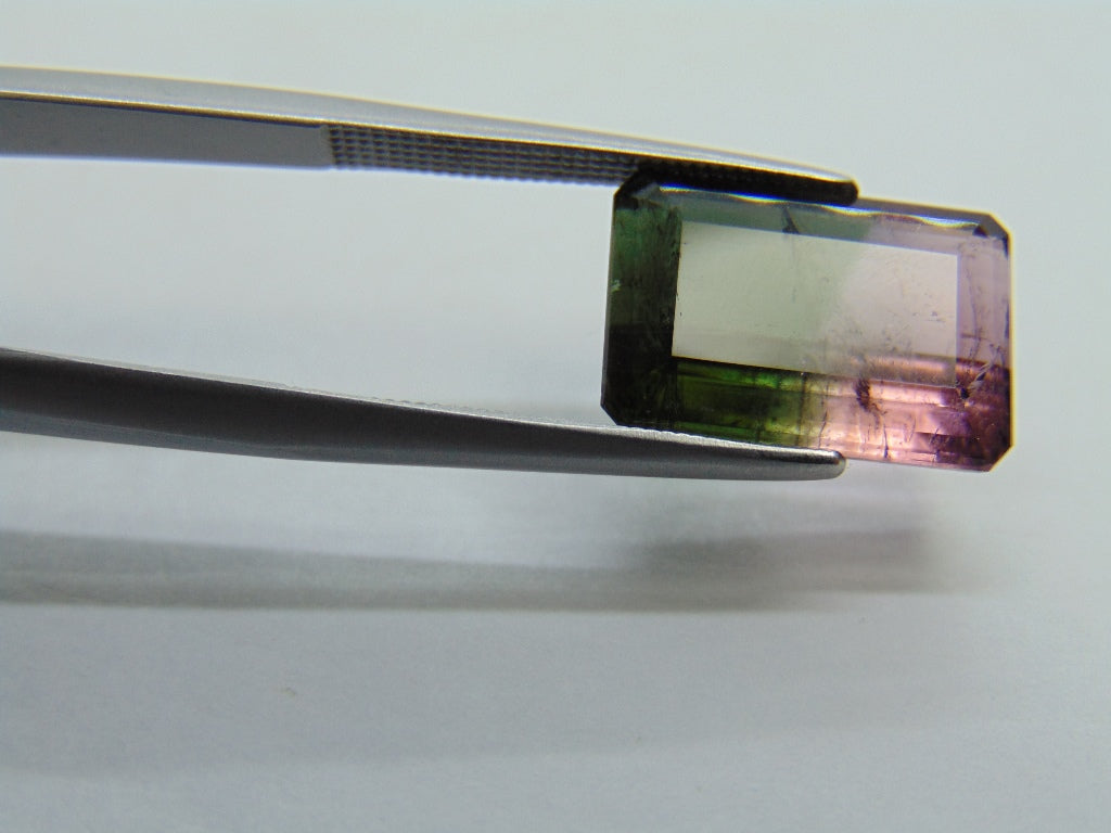 Turmalina Bicolor 7,25ct 14x9mm