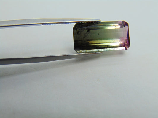 8,59ct Turmalina Bicolor 18x9mm