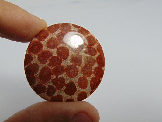 79.40ct Pedra Petoskey 40mm