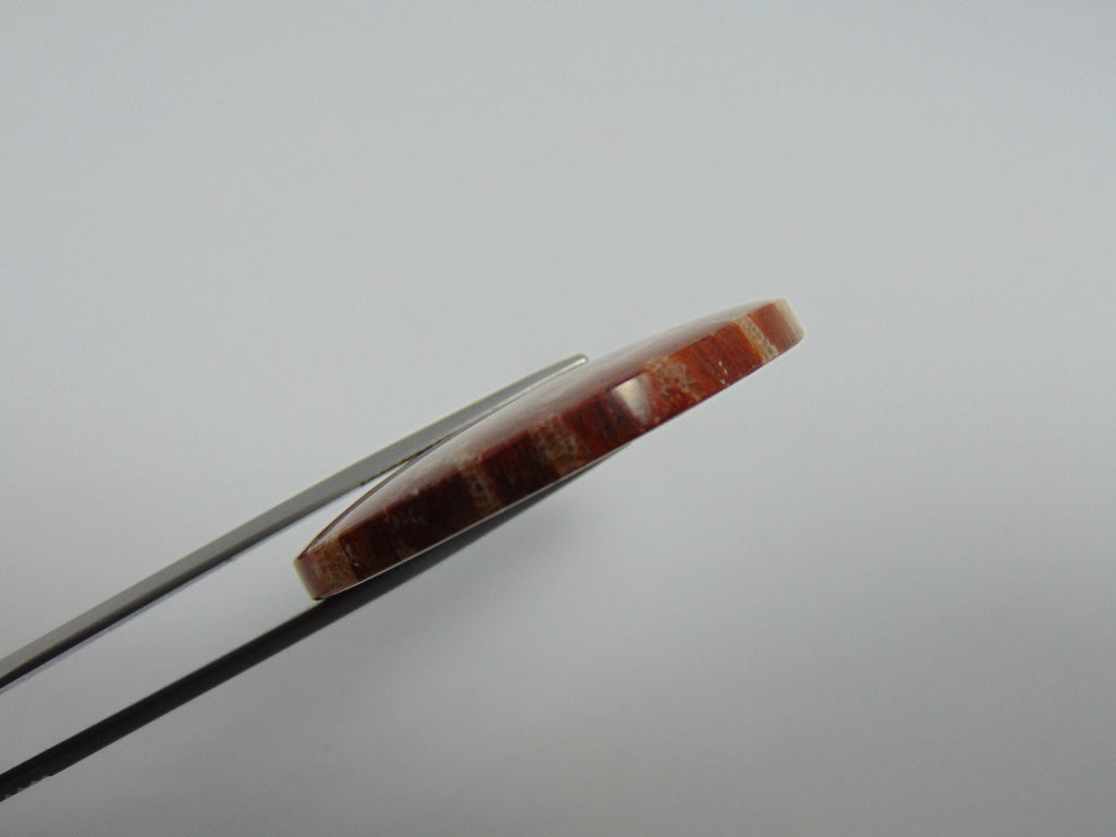 79.40ct Pedra Petoskey 40mm