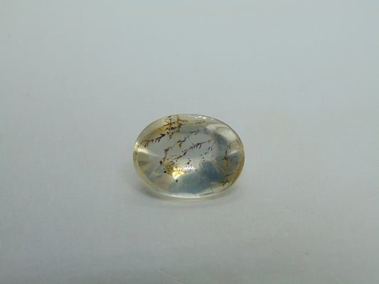 6.70ct Dendrite 16x12mm