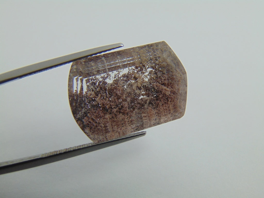 23.30cts Quartz (Lodolite)