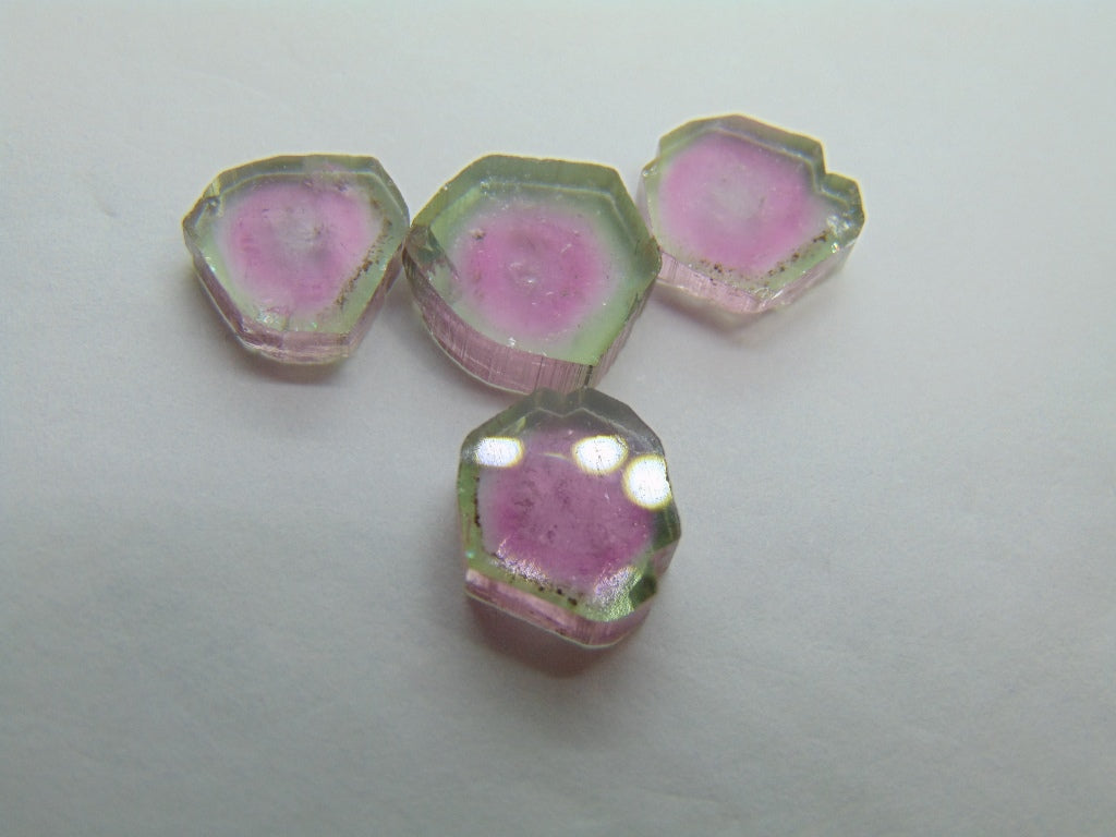13.10ct Watermelon Tourmaline