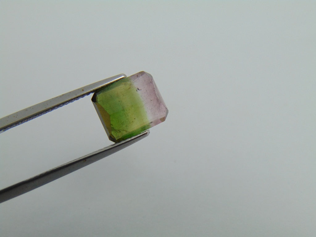 3.75cts Tourmaline (Bicolor)