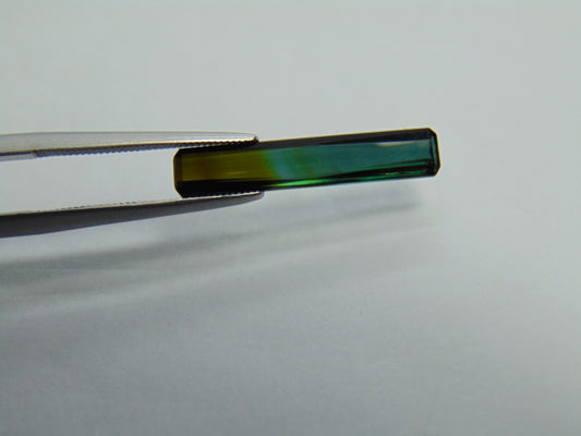 Turmalina Bicolor 2,45ct 22x4mm