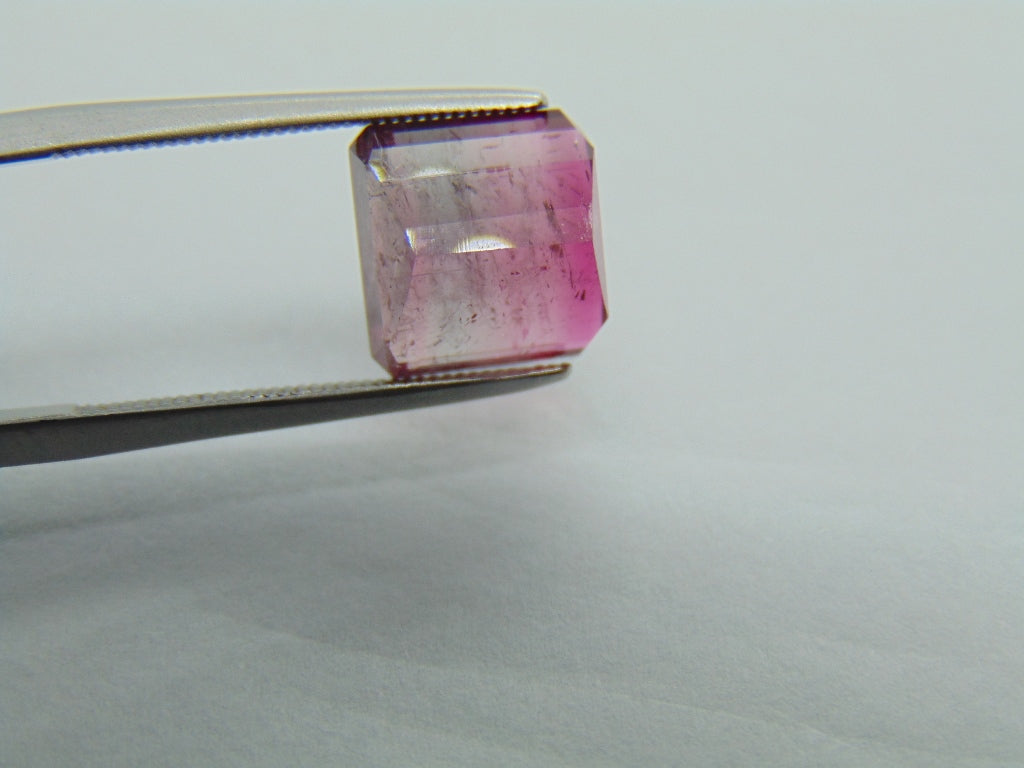 5cts Turmalina (Bicolor)